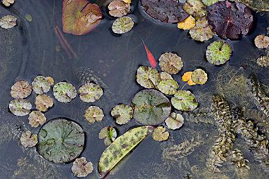 《时空分裂者》开发商Free Radical即将被关闭
